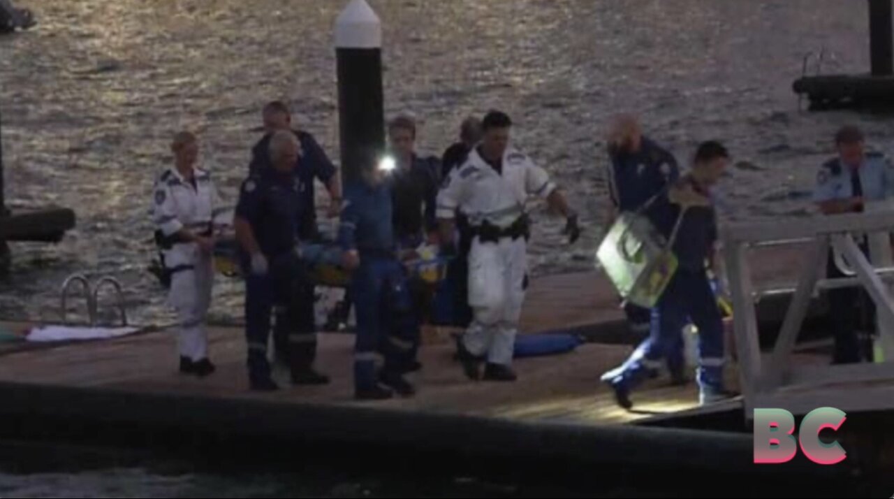 Shark mauls woman in rare Sydney Harbor attack