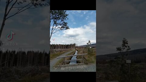 Wandern im Harz Altenau Gustav Baumann Weg #shorts