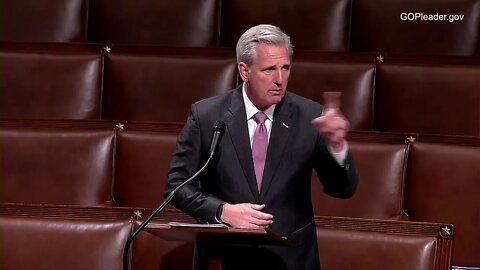 Kevin McCarthy Obliterates Democrats Postal Service Conspiracy Theories