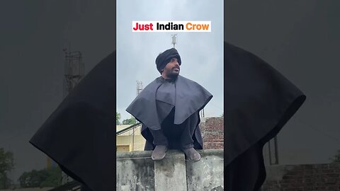 Just an Indian Crow 😂