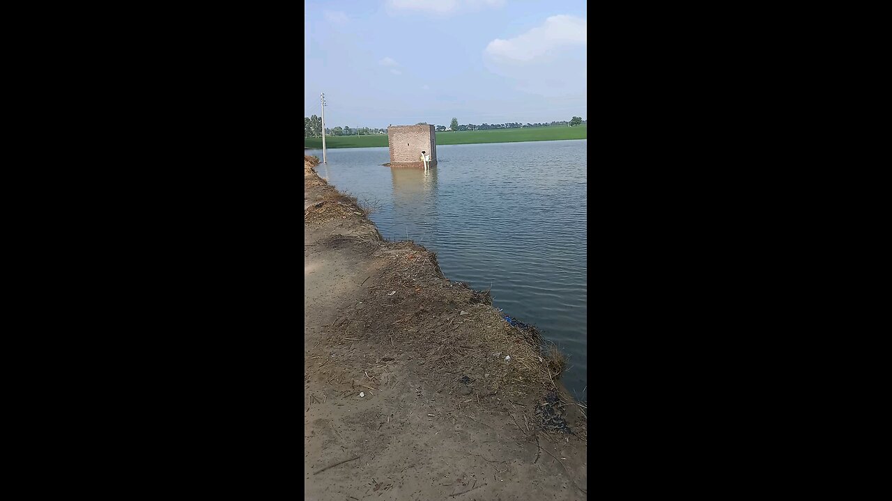 Flood in agriculture land