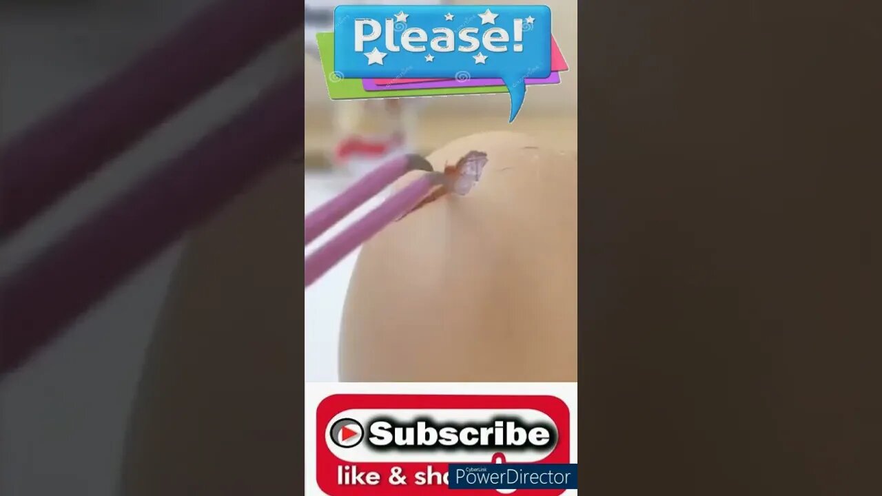 very relaxing videos short