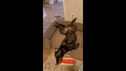 funny part 4