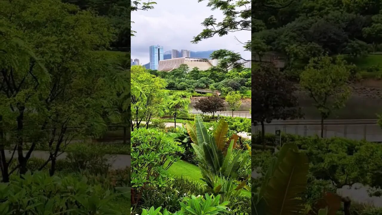 A Plethora Of Flora in Shenzhen #shorts