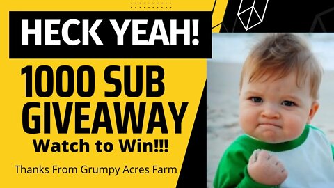 1000 Subscribers Give Away; Watch and Win!!!