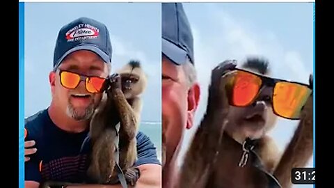 Funny Videos Compilation September 2023 | Best Funny Fails of 2023 | Try Not To Laugh 😂