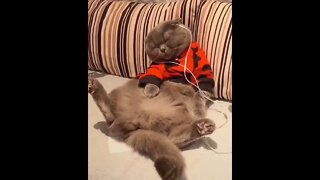 Yes guys, I'm just chilling out! #shorts