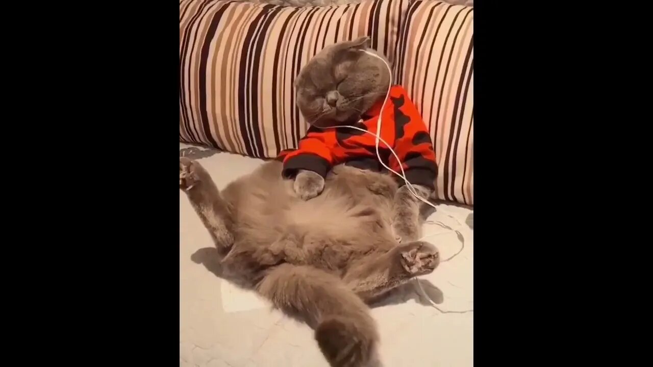 Yes guys, I'm just chilling out! #shorts
