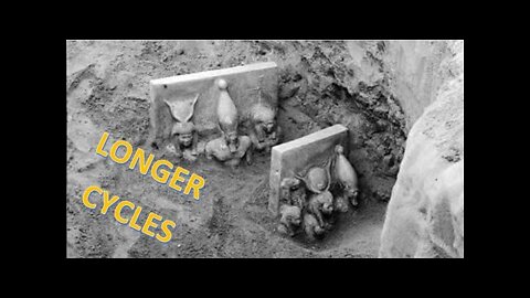 13 Signs Food Shortages are Here