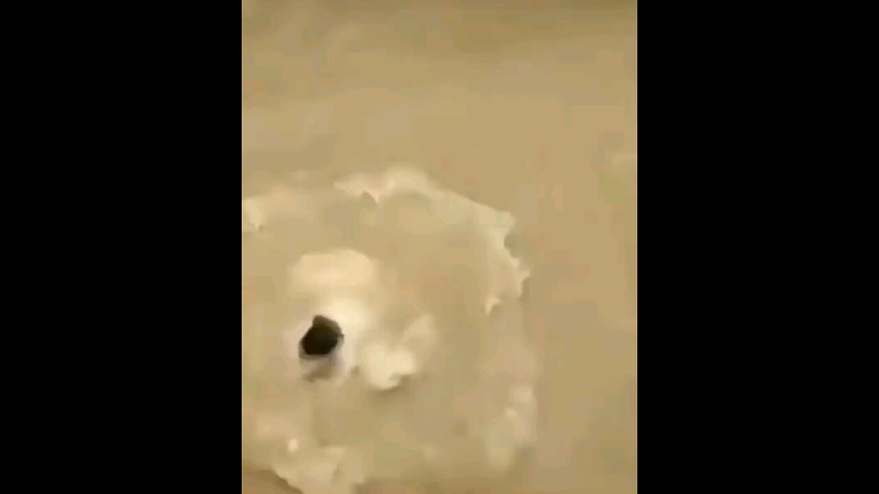 boy jumps from balcony funny vedio
