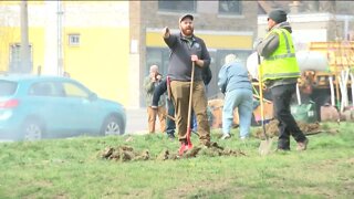 Sherman Park named Milwaukee's newest eco-neighborhood