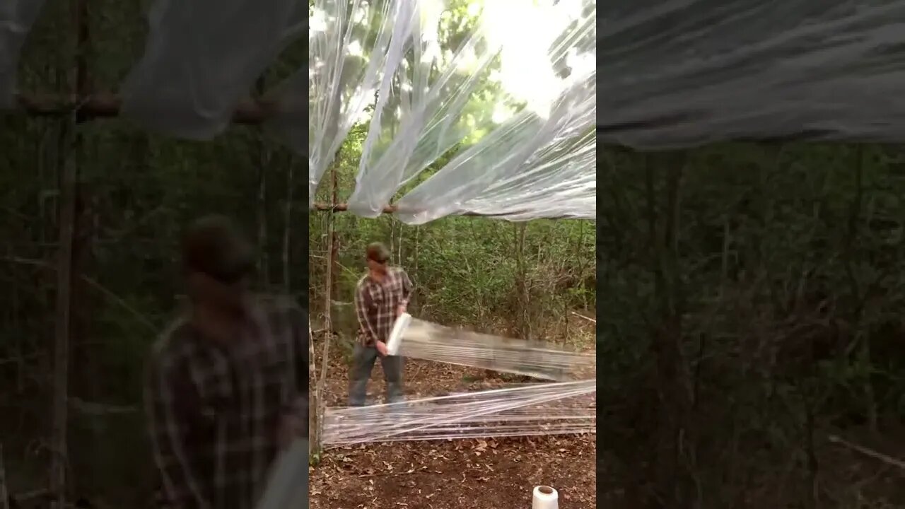 Shrink wrap shelter 2
