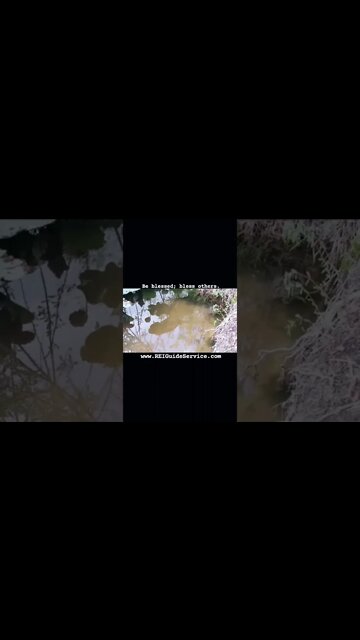 Be blessed; bless others. www.REIGuideService.com