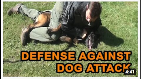 How to defend against a dog. Self defense against dog attack