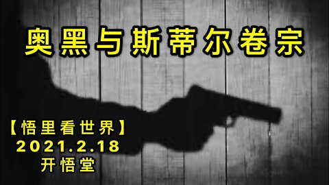 KWT1104奥黑与斯蒂尔卷宗20210218-3【悟里看世界】