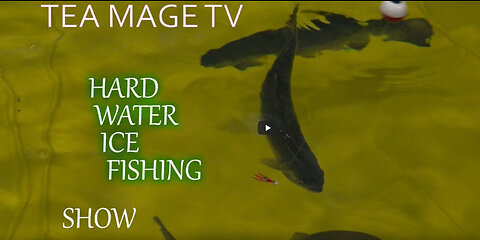 TEA MAGE TV - Hard Water Show 2021