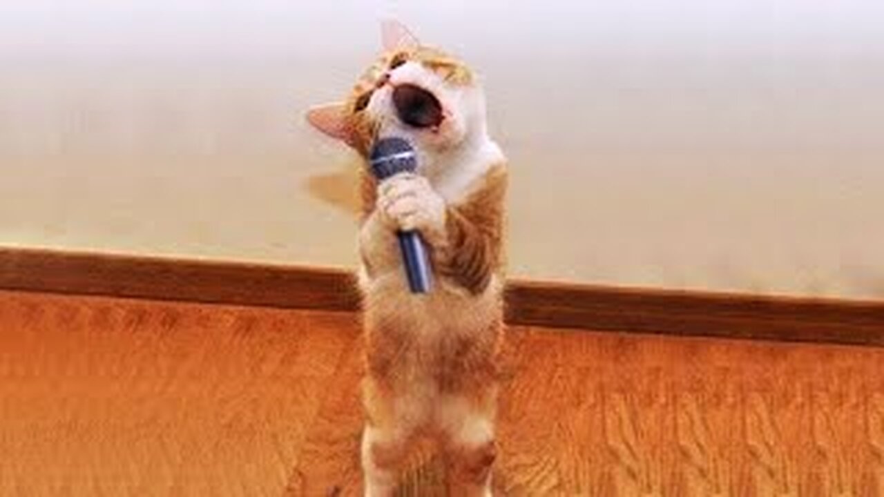 OMG SO CUTE ❤️ FUNNIEST CATS AN DOGS 2023 #4
