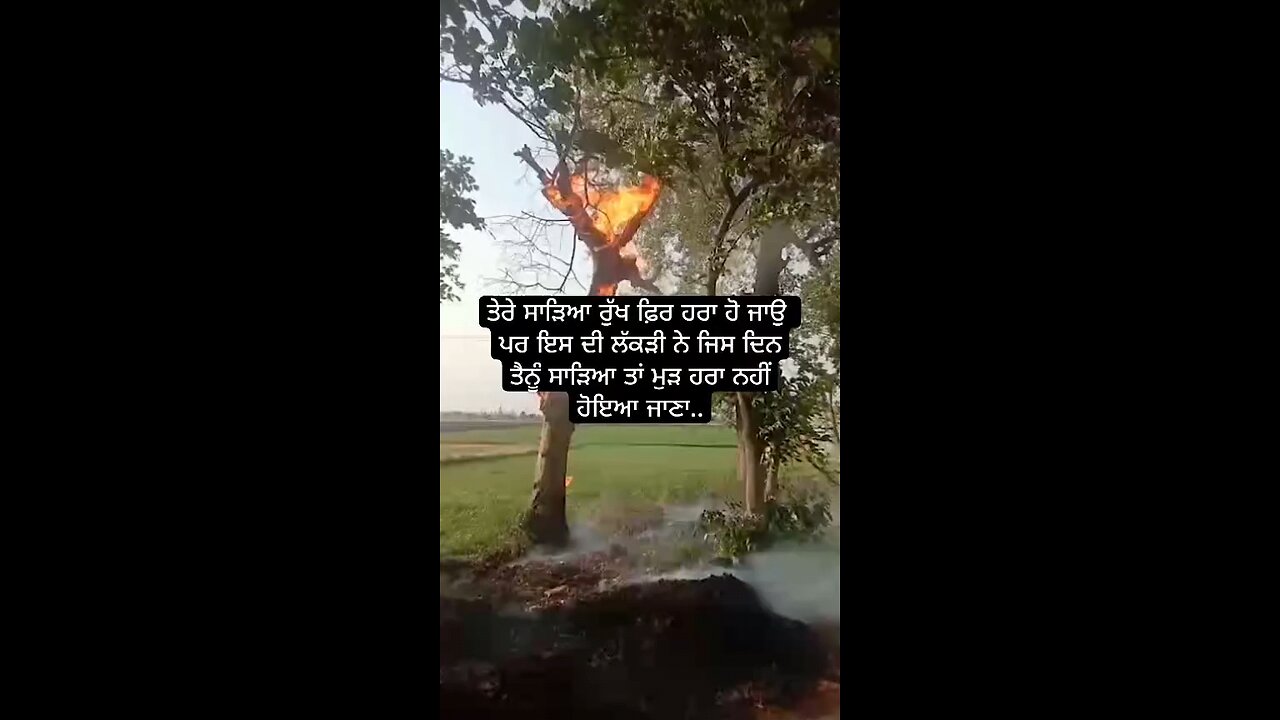 May your burnt tree become green the day it burns you you will not be green again 🙏🏻🙏🏻🔥🙏🏻