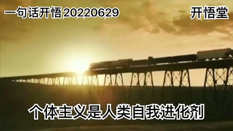 一句话开悟20220629