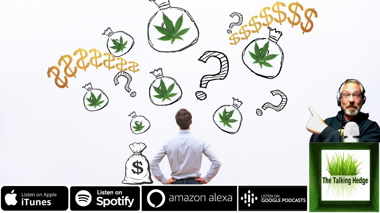 Cannabis Investing Trends 2022