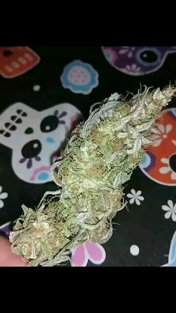 HerbsNOW Vs Hang dry