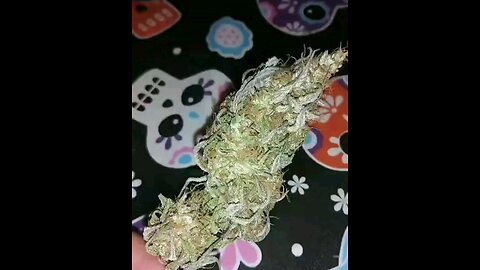 HerbsNOW Vs Hang dry