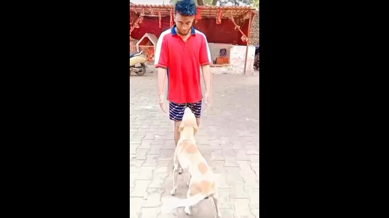 😘😘animal lover