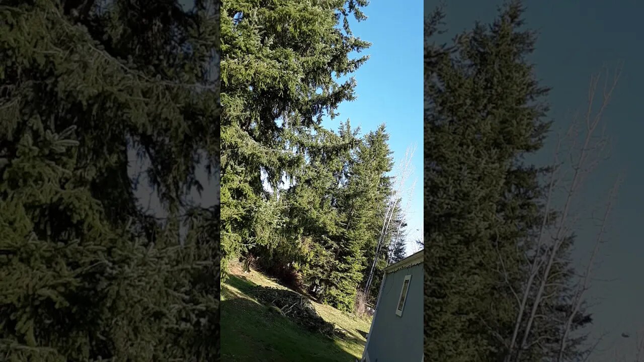 Military activity