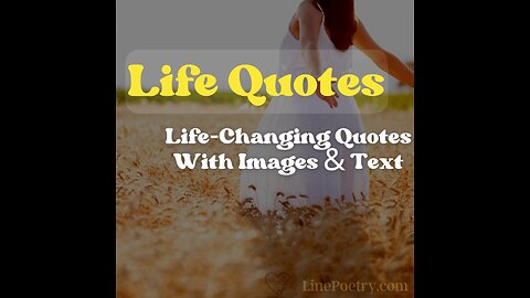 Best Quotes
