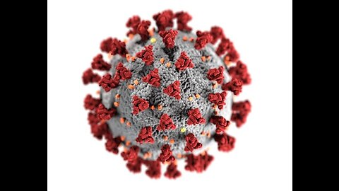 VIRUS