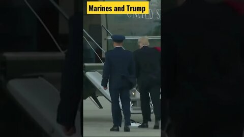 Marines and trump