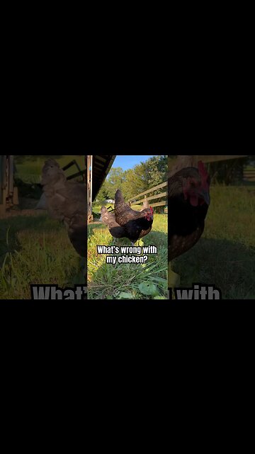 Something is different but I’m not sure what.. #shorts