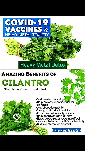 15 Foods that clear clogged arteries.