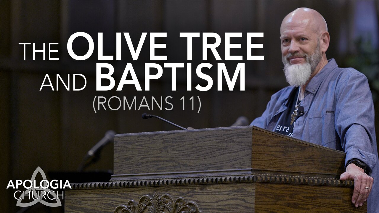 The Olive Tree And Baptism