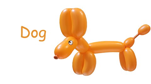 Balloon Dog