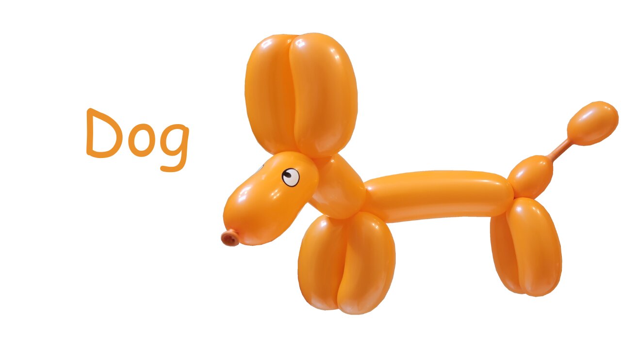 Balloon Dog