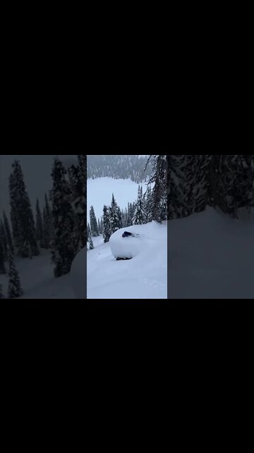 Skier Swallowed by Snow! #MegaFails #Shorts