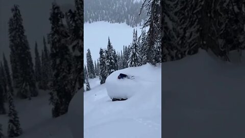 Skier Swallowed by Snow! #MegaFails #Shorts