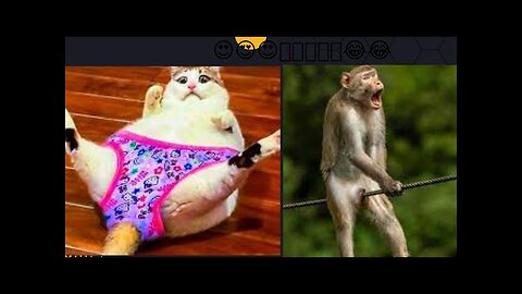 Most funny animals Videos 😂📸 2023 please follow me chenal 🌍