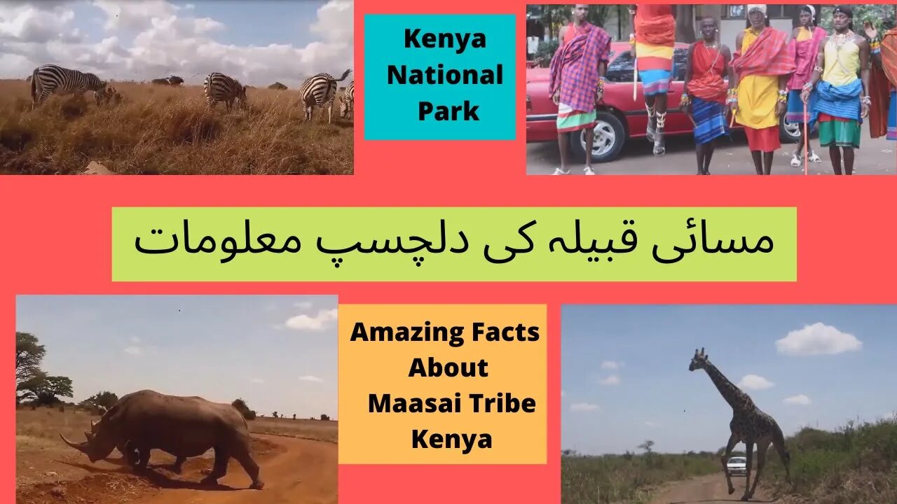 Kenya National Park | Amazing Facts About Maasai Tribe Kenya