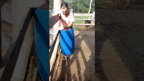 por isso os homens vivem menos 😂😂😂 #shorts