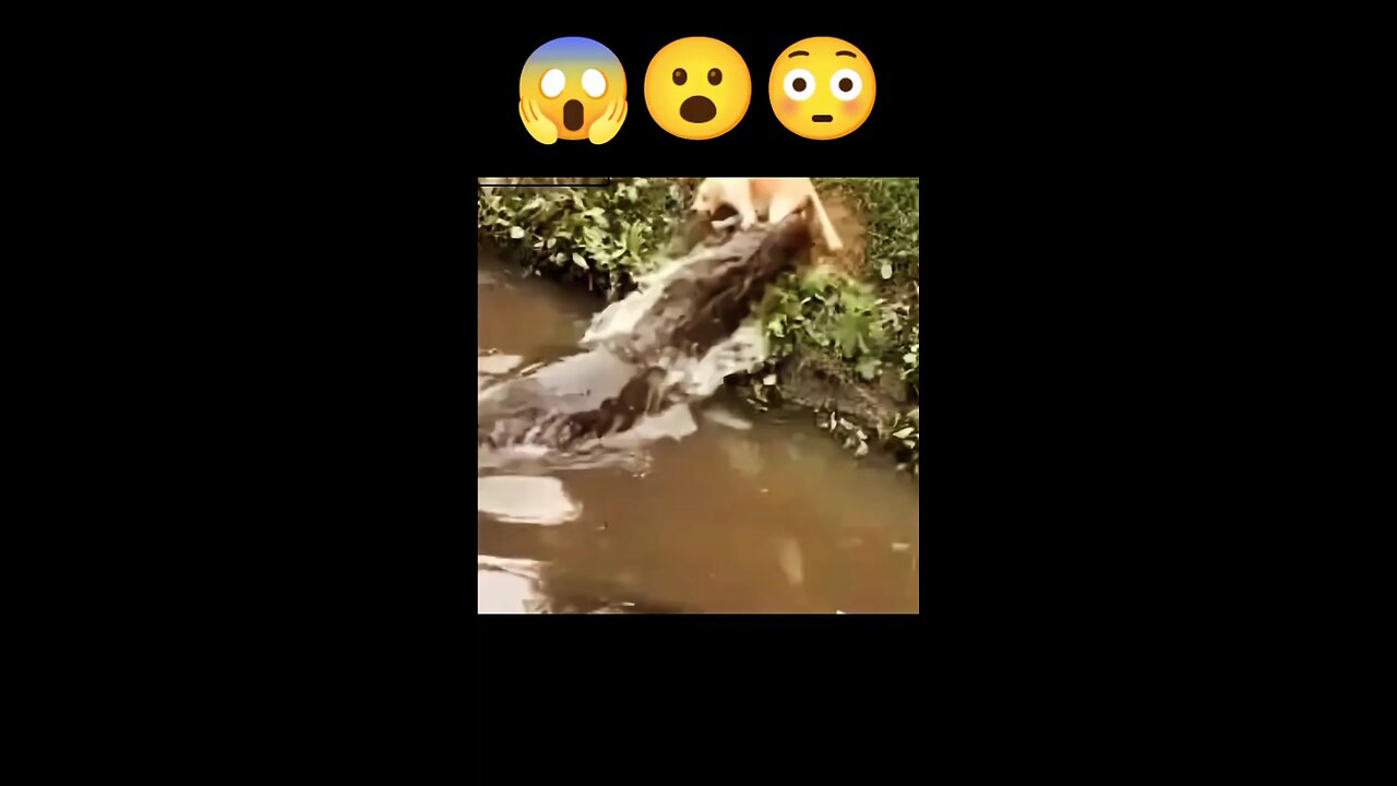 😱😮😳