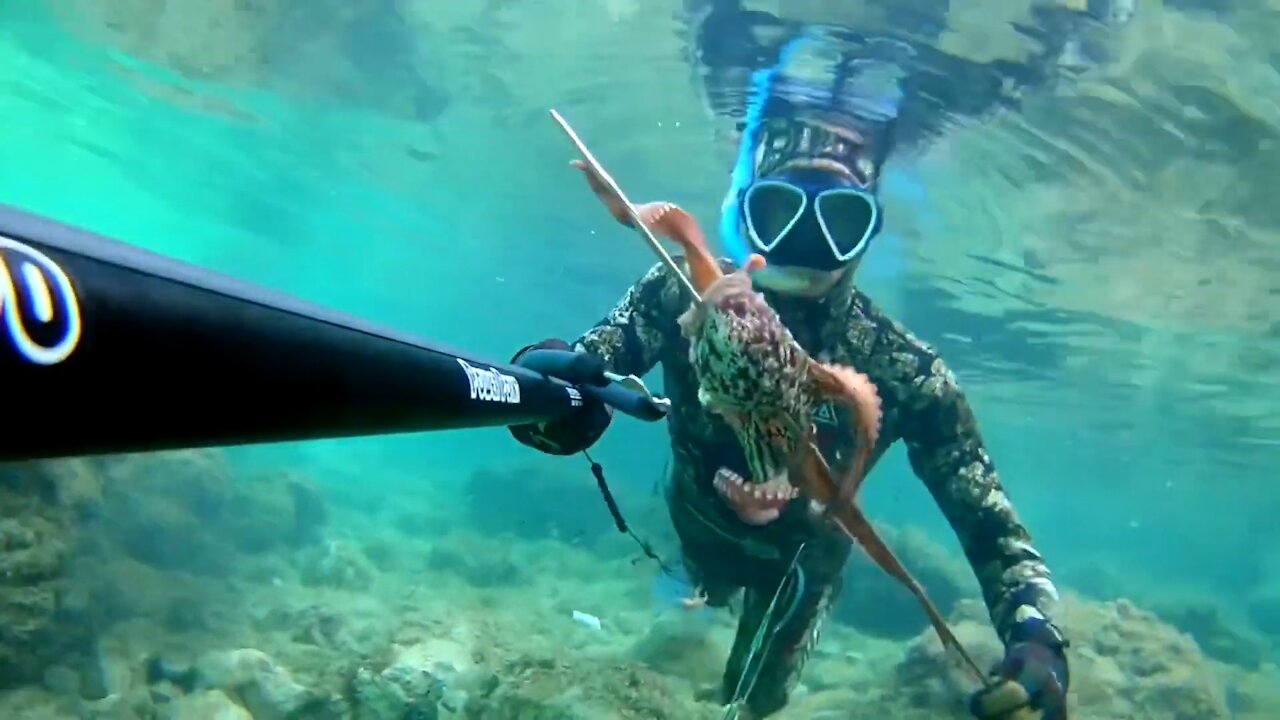 Spearfishing Octopus