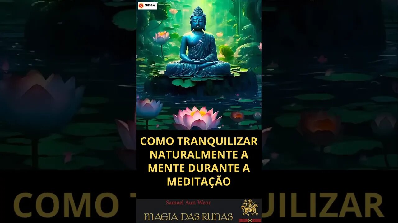 COMO SILENCIAR NATURALMENTE A MENTE NA MEDITAÇÃO - REFLEXÃO SERENA