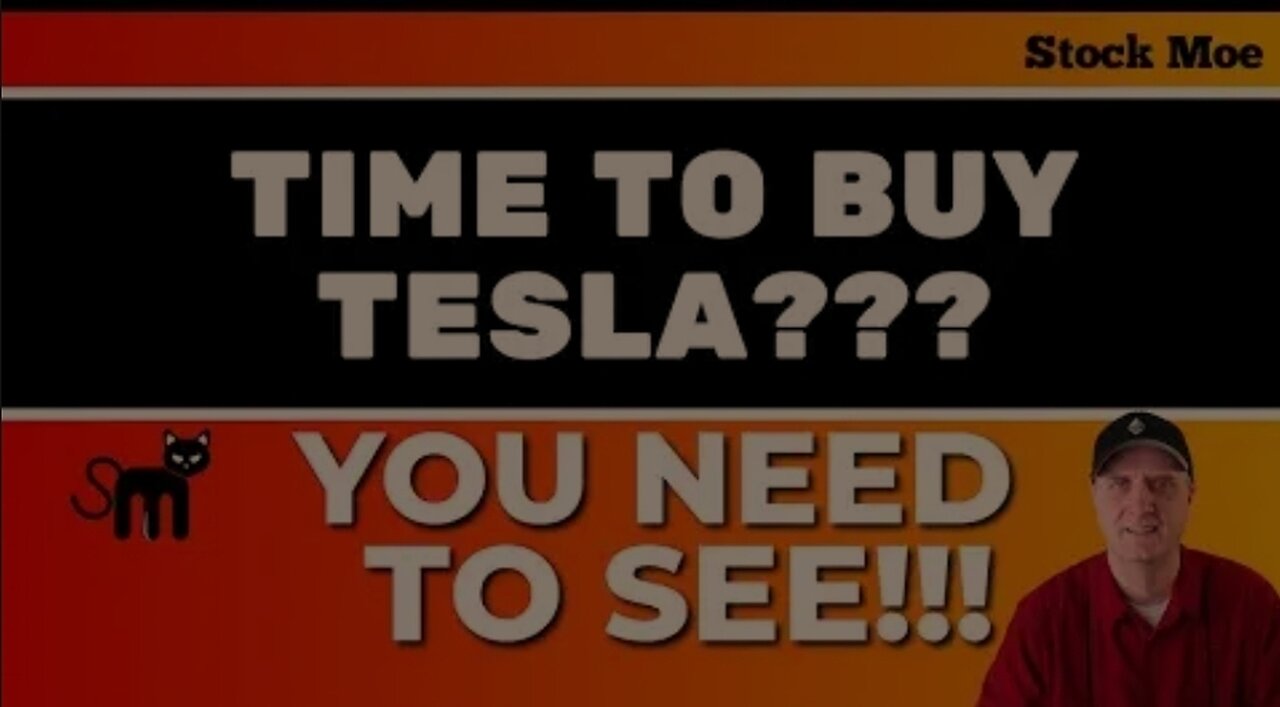 ✅ URGENT TESLA STOCK BUY OPPORTUNITY? NEWS ON TMF STOCK PRICE!