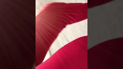 It’s starting to get warm out in Canada