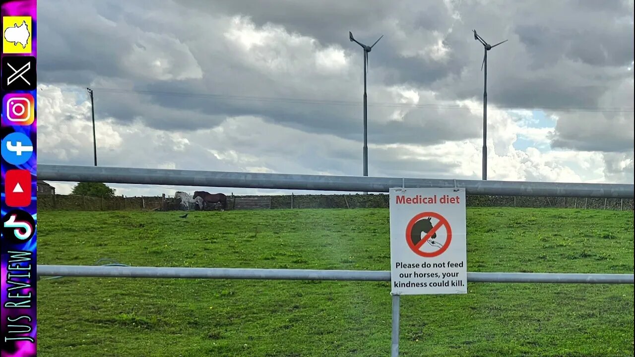 Do Not Feed The Horse