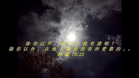 今天的每日聖經經文Jīntiān de měi rì shèngjīng jīng wén