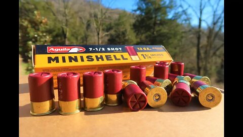 Minishells - Pump Action Shotguns