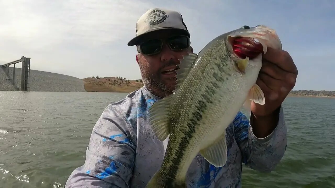 Lake Eastman River Rat Pre Fish Giant Bass spotted on Film